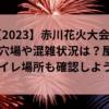 赤い打ち上げ花火